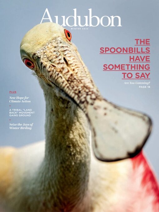 Title details for Audubon Magazine by National Audubon Society - Available